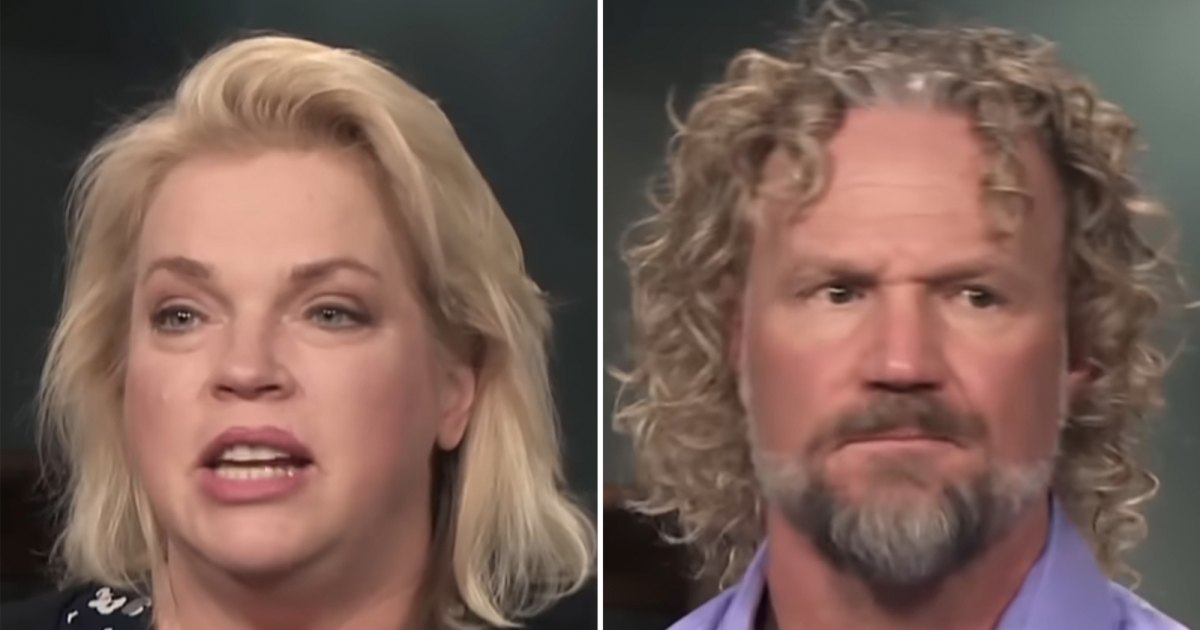 sister-wives-janelle-family-finances