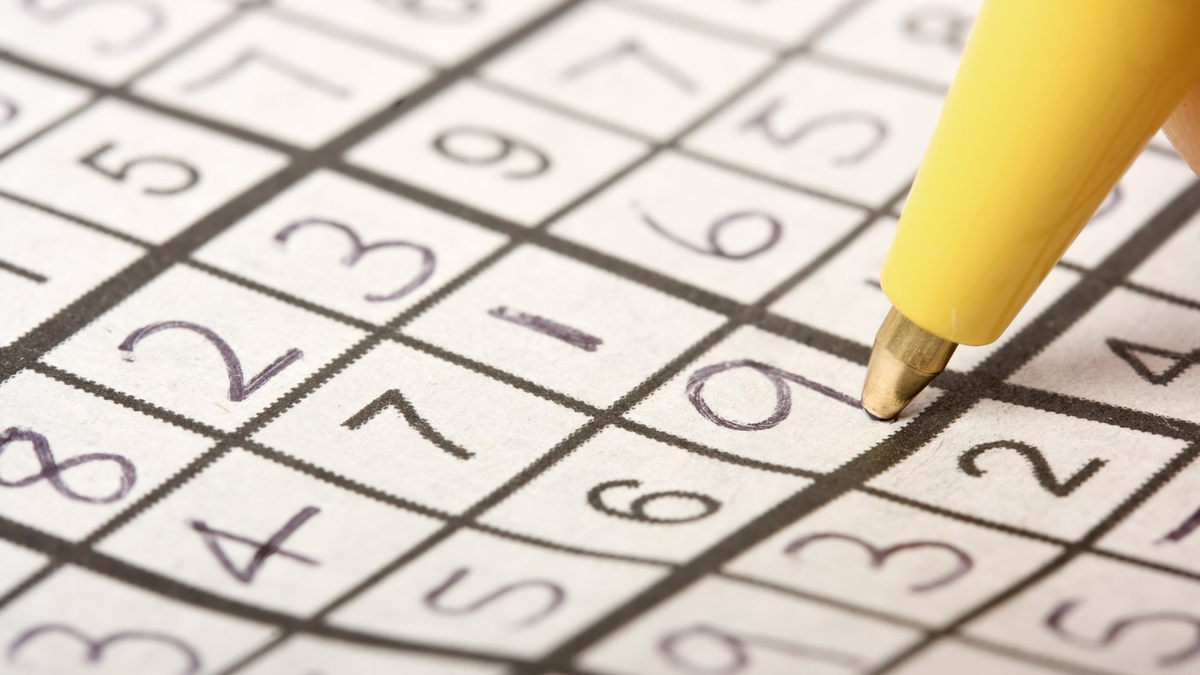 sudoku-challenge-november-24-2024